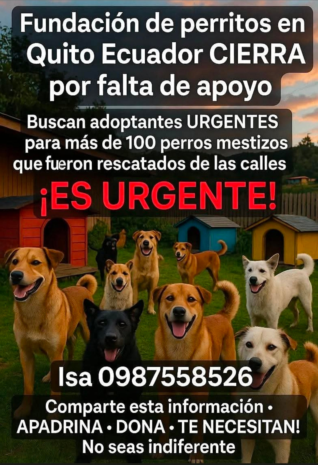 Animal Shelter- Donation -Donacion para refugio de Animales - EcuaFolk